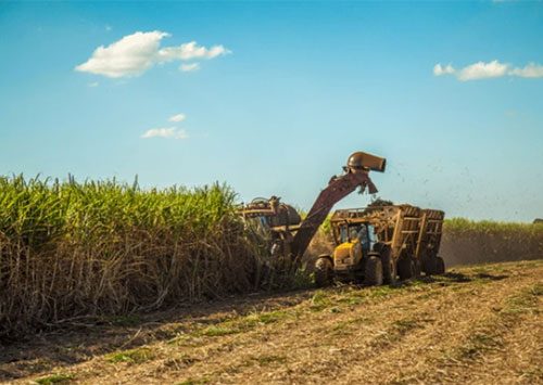 sugar-industry